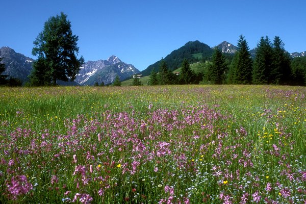 8yom2ruz.berge-erleben