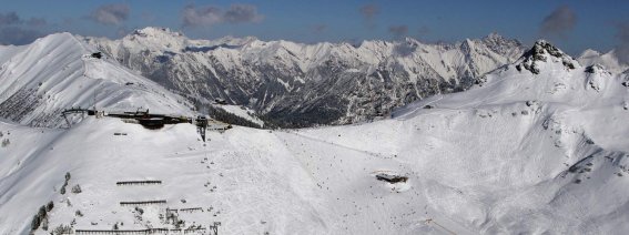 Zooocxzq.winter-pur