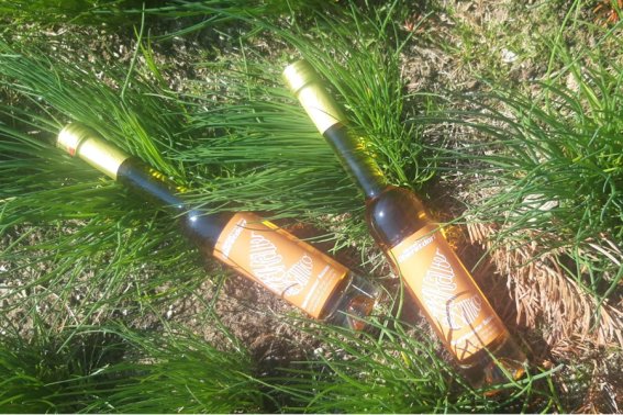 Zwei Flaschen vom Hoteleignen Balsamico-Essig liegen im Gras
