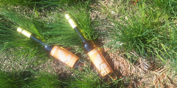 Balsamico aus dem eigenen Kräutergarten