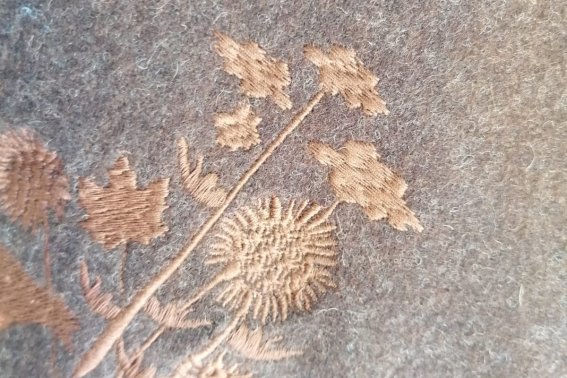 Was kann man denn da entdecken?