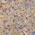 Heublumenwiese Nahansicht