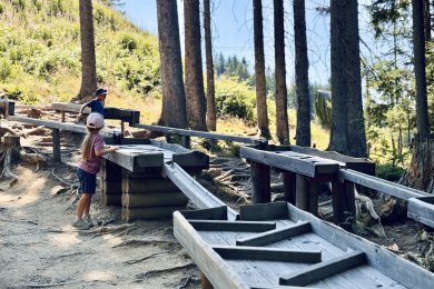 Familienausflug auf dem Erlebnisweg bei Oberstdorf im Allgäu Entdecken Sie mit Ihren Kindern eine Wasserspielanlage im Wald und genießen Sie Spielspaß in der Natur.
Perfekt für Outdoor-Aktivitäten mit der Familie.