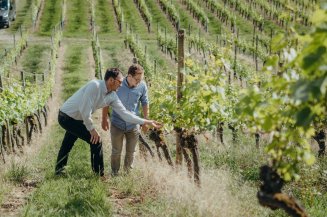 Die beiden Winzer von Schloss Rheinburg begutachten ihre Trauben Die Winzer Lorenz Keller und Julian Moser führen das Weingut mit dem Ziel, das Potenzial der Lagen rund um das Schloss auszuschöpfen.
