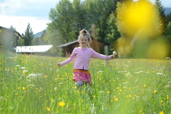 Tollendes Mädchen auf einer grünen Sommerwiese