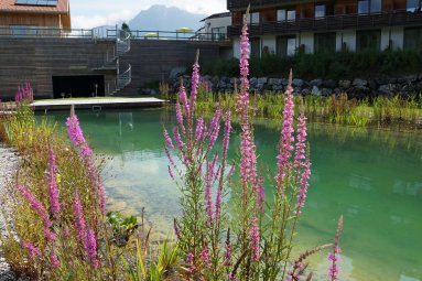 Badevergnügen auf 360 m² Naturreines Wasser aus der eigenen Quelle, herrlich kühl und ohne chemische Zusätze - dieses Badevergnügen genießen die Gäste im Hotel Oberstdorf im eigenen See direkt am Hotel.