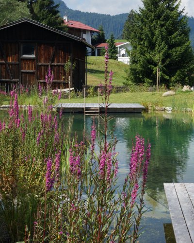 Herrlich, wie er da liegt, direkt am Hotel Oberstdorf - der mit klarem Bergquellwasser gefüllte Badesee. Umsäumt von Blumen und Wasserpflanzen mit Blick in die Berge - wer will da nicht sofort hinein springen?