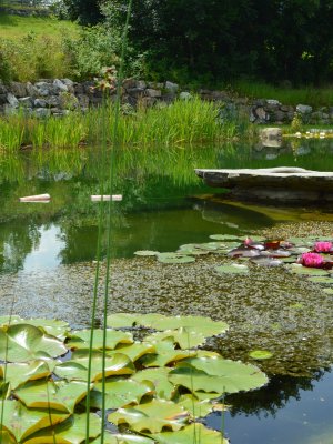 Baden im Allgäu heißt baden in klaren, naturbelassenen Seen - wie direkt am Hotel Oberstdorf. Freuen Sie sich auf Ihren Sommer in Oberstdorf.