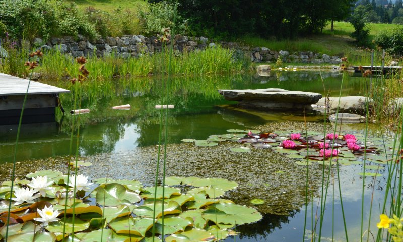 Baden im Allgäu heißt baden in klaren, naturbelassenen Seen - wie direkt am Hotel Oberstdorf. Freuen Sie sich auf Ihren Sommer in Oberstdorf.