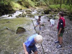 Für unsere kleinen und großen Gäste bieten wir unter fachkundiger Führung kostenlos Abenteuer-Bachwanderungen, geführte Wanderungen, naturkundliche Vorträge und Exkursionen, Führungen durch den Baumlehrpfad, Fackelwanderung, Lagerfeuer, u.v.m.