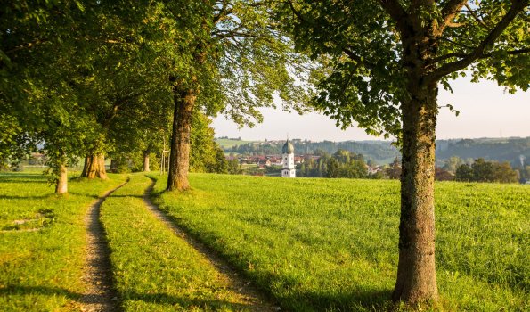 Gemeinsam den Urlaub in den Bergen genießen und entspannen.