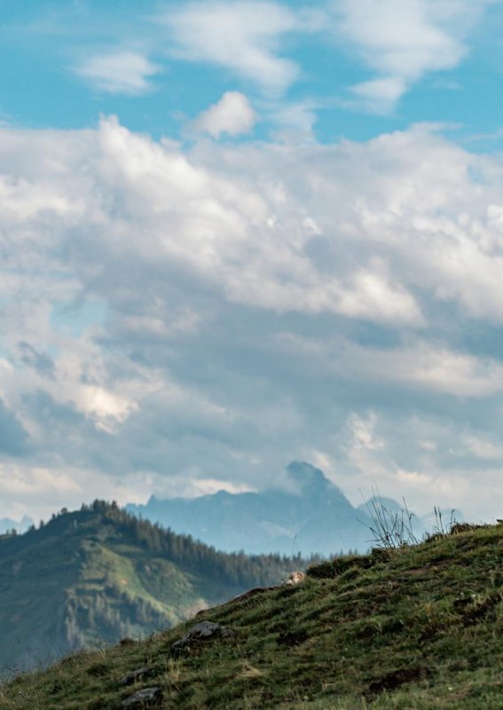 Elmo+ April 21 BastiHeckl (5)