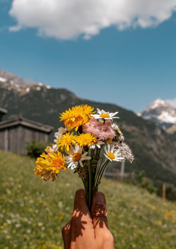 Elmo+ Juli 21 BastiHeckl (7)