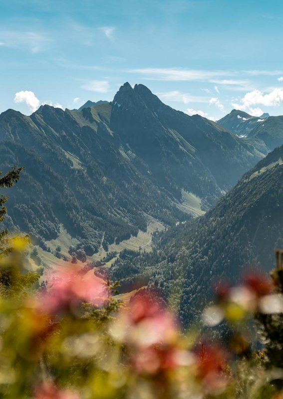 Elmo+ Juli 21 BastiHeckl (11)