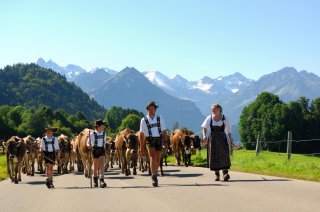 Viehscheid-schoellang-tourismus-oberstdorf-1