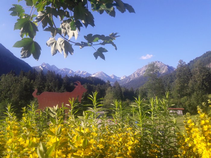 Ausblick,jpg