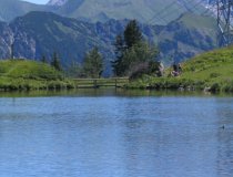 Am Fellhorn - mit Schlappoldsee