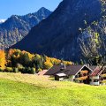Herbst5