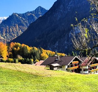 Herbst5