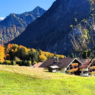 Herbst5