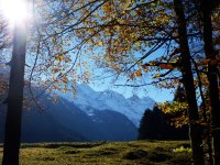 Herbstliche Aussichten