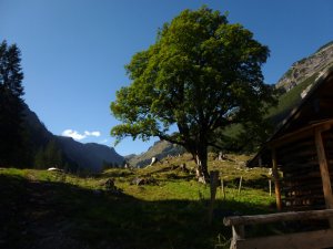 Herbst im Rappenalptal