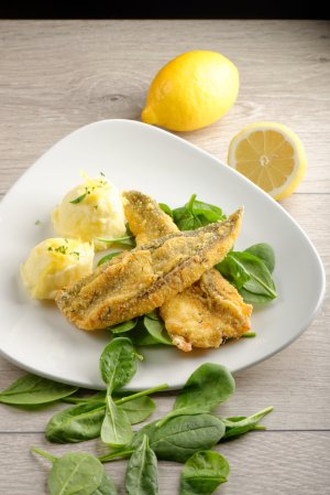Fisch