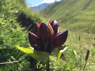 Augen auf! Wunderschöne Vegetation am Wegesrand!