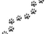 IStock-1148309606 (1)