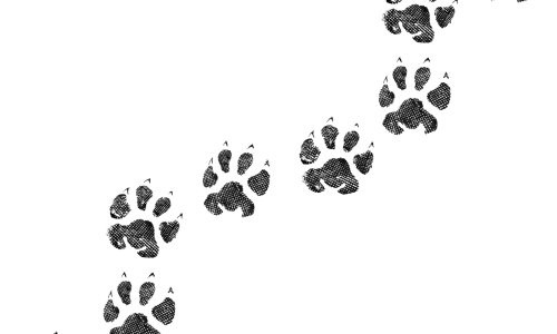 IStock-1148309606 (1)