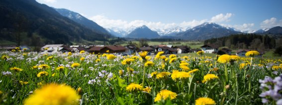 Familienhotel-oberstdorf-4453