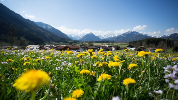Familienhotel-oberstdorf-4453