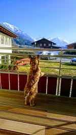 Auch unserem Hund hat es sehr gut gefallen