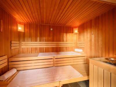 Wellness - Biosauna