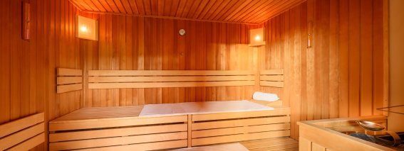 Wellness - Biosauna