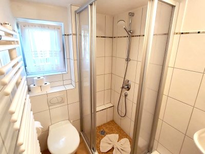 Kleines Bad im Erdgeschoss