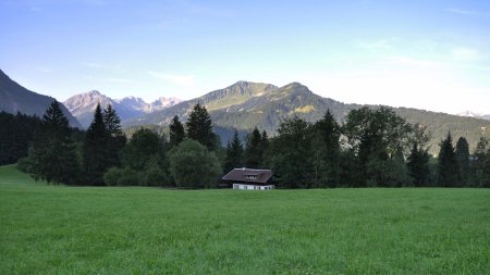 DSC 0211