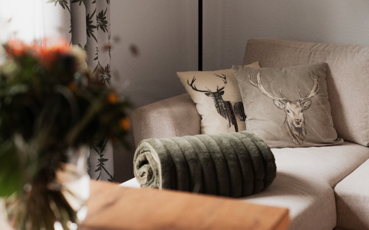 Wiesengrund-Zimmer-Nahaufnahme Sofa