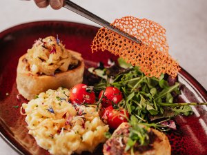 Wiesengrund-Food-web-29