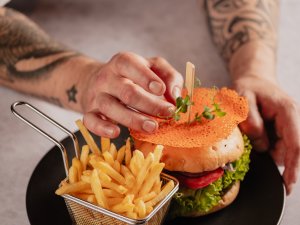 Wiesengrund-Food-web-39