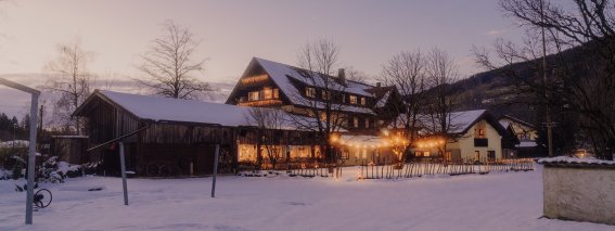 Wiesengrund-Blaue-Stunde-web-23