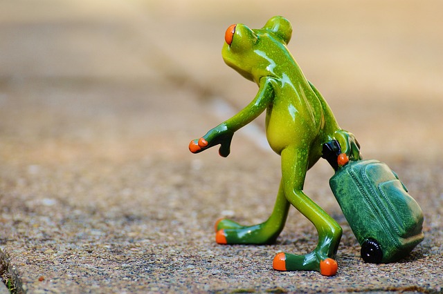 Frosch Abreise