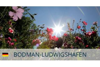 Bodman-Ludwigshafen font