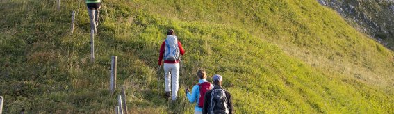 Bergwanderung im Frühling