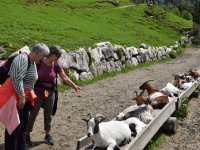 Assistenz Urlaub Behinderte