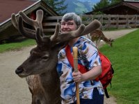 Freizeit Tiere Behinderte