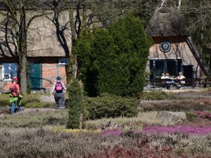 Lüneburger Heide Behinderte Reise