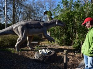Handicap Urlaub