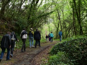 betreutes Reisen Behinderte