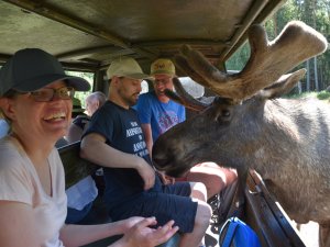 Schweden Reise behindert